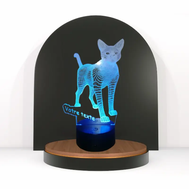 lampe led personnalisé chat